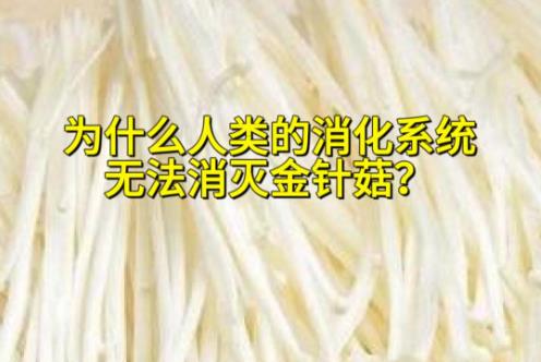 为什么人类的消化系统，无法消灭金针菇？ - 壹悠家