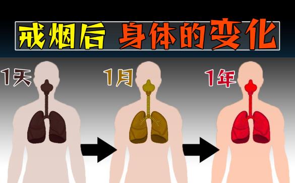 戒烟后，变黑的肺还能完全恢复正常吗？ - 壹悠家