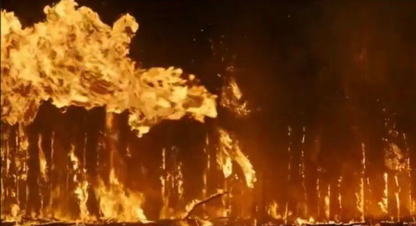 电影《烈焰先锋》在烈焰中淬炼的生命之光 - 壹悠家